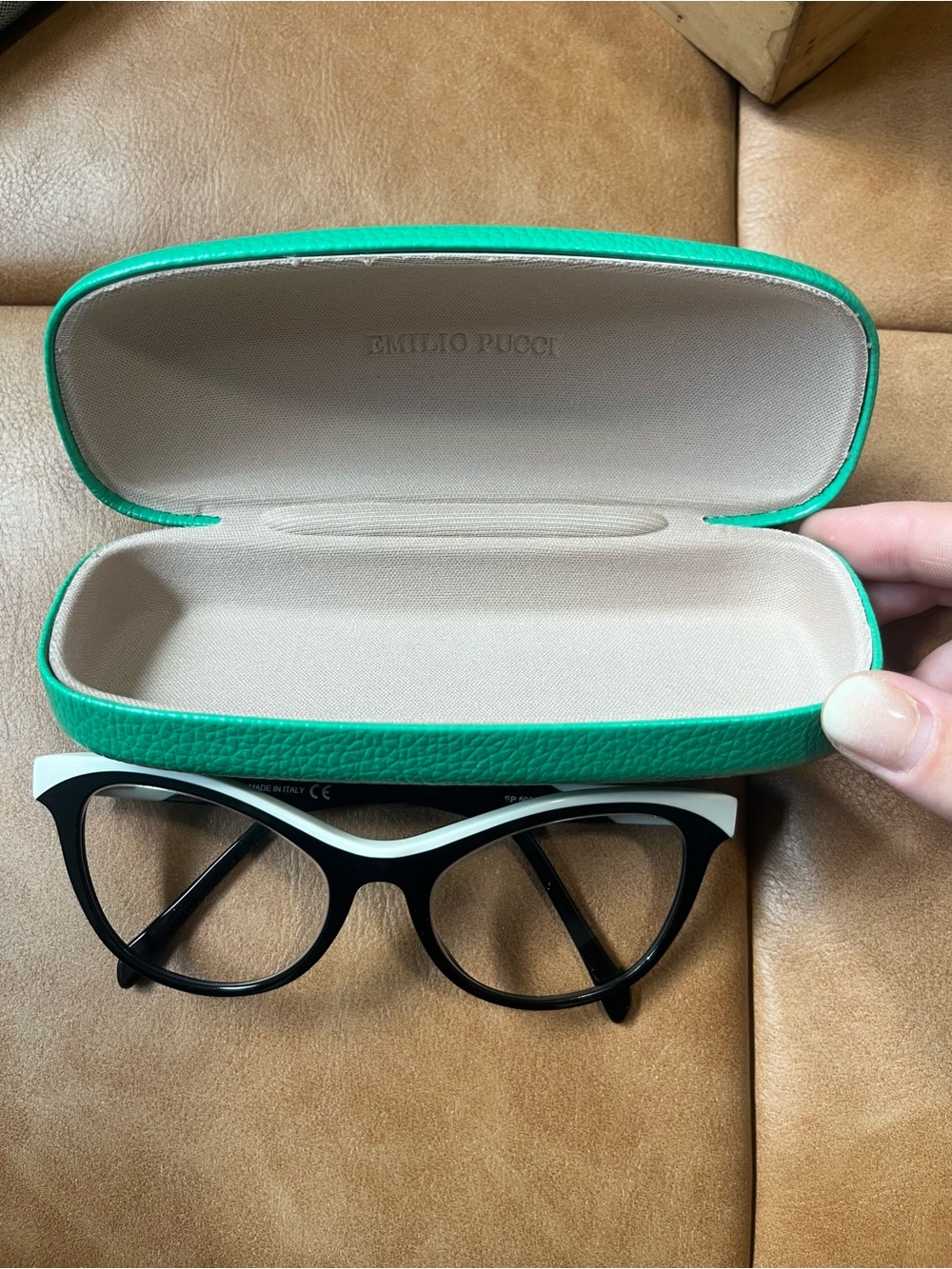 Emilio Pucci Green Eyewear Case with Black & White Glasses